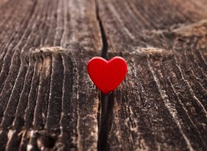 Community Services Kalamazoo